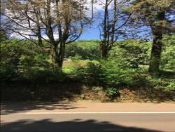 #96 - Terreno para Venda em Morro Reuter - RS - 1