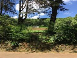 #96 - Terreno para Venda em Morro Reuter - RS - 2