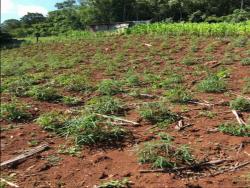Terreno para Venda em Morro Reuter - 4