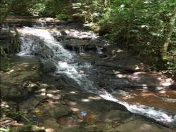 #97 - Chácara para Venda em Morro Reuter - RS - 2