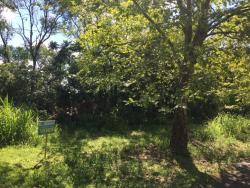 #100 - Terreno para Venda em Morro Reuter - RS - 2