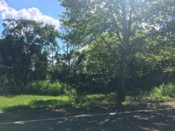 #100 - Terreno para Venda em Morro Reuter - RS - 3
