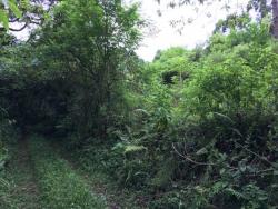 #108 - Chácara para Venda em Morro Reuter - RS - 2