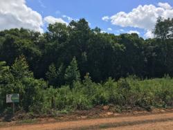 #115 - Chácara para Venda em Morro Reuter - RS - 1