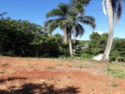 #116 - Área para Venda em Morro Reuter - RS - 1