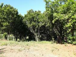 #116 - Área para Venda em Morro Reuter - RS - 2