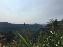 #118 - Chácara para Venda em Morro Reuter - RS