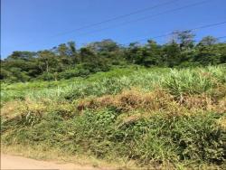 #118 - Chácara para Venda em Morro Reuter - RS - 2
