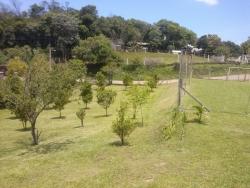 Chácara para Venda em Morro Reuter - 4