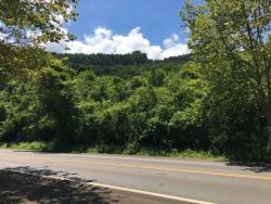 #127 - Área para Venda em Morro Reuter - RS - 3