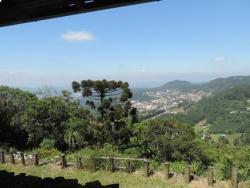 #131 - Casa para Venda em Morro Reuter - RS - 2