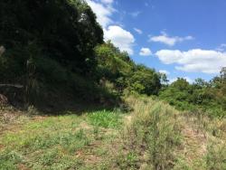 Chácara para Venda em Santa Maria do Herval - 4