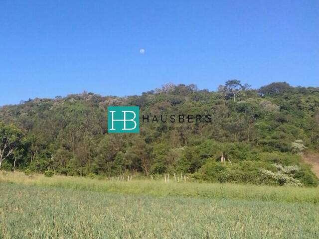 #147 - Chácara para Venda em Santa Maria do Herval - RS - 2