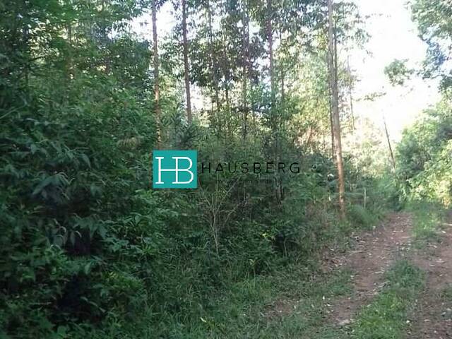 #147 - Chácara para Venda em Santa Maria do Herval - RS - 3