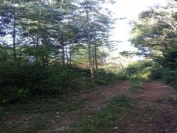 Chácara para Venda em Santa Maria do Herval - 4