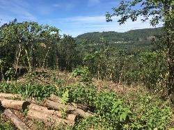 Chácara para Venda em Morro Reuter - 4