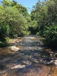 #219 - Chácara para Venda em Morro Reuter - RS - 2