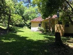 #219 - Chácara para Venda em Morro Reuter - RS - 1