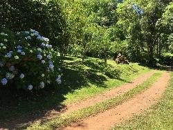 Chácara para Venda em Morro Reuter - 4