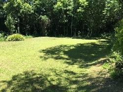 #219 - Chácara para Venda em Morro Reuter - RS - 3