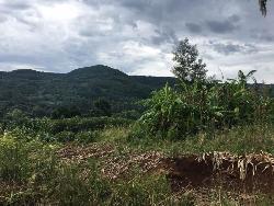 #227 - Área para Venda em Morro Reuter - RS