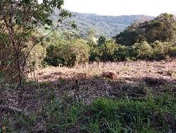 Área para Venda em Morro Reuter - 4