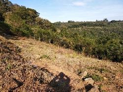 #233 - Área para Venda em Morro Reuter - RS