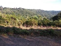 #233 - Área para Venda em Morro Reuter - RS