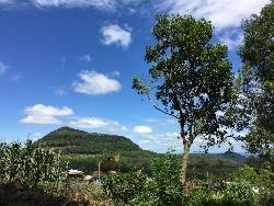 #234 - Área para Venda em Morro Reuter - RS