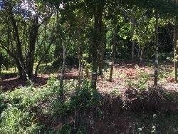 Área para Venda em Morro Reuter - 5