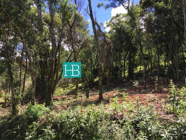 #234 - Área para Venda em Morro Reuter - RS - 3