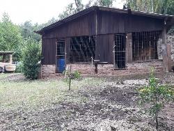 Chácara para Venda em Morro Reuter - 4