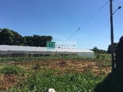 Terreno para Venda em Morro Reuter - 4