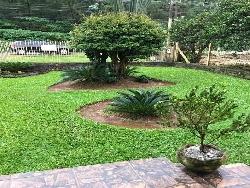 #254 - Casa para Venda em Morro Reuter - RS - 2