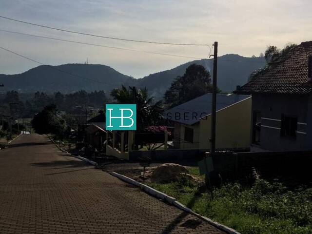 #174 - Área para Venda em Morro Reuter - RS