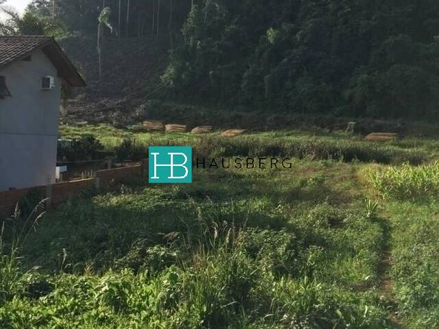 #174 - Área para Venda em Morro Reuter - RS
