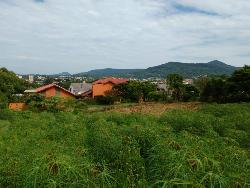 #260 - Terreno para Venda em Dois Irmãos - RS - 3