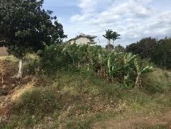 Área para Venda em Dois Irmãos - 4