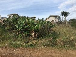#261 - Área para Venda em Dois Irmãos - RS - 3