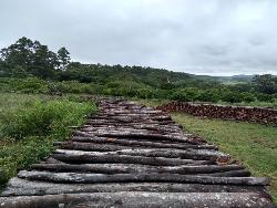 Chácara para Venda em Caraá - 5