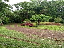 Chácara para Venda em Caraá - 4