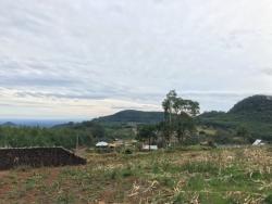 Área para Venda em Morro Reuter - 4