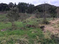 #267 - Terreno para Venda em Morro Reuter - RS - 2