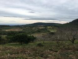 #267 - Terreno para Venda em Morro Reuter - RS - 3