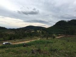 #267 - Terreno para Venda em Morro Reuter - RS - 1