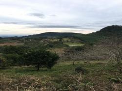 Terreno para Venda em Morro Reuter - 5