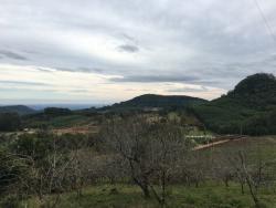 Terreno para Venda em Morro Reuter - 4