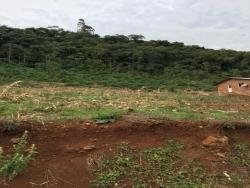 #266 - Área para Venda em Morro Reuter - RS - 2