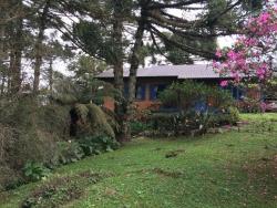 #275 - Casa para Venda em Morro Reuter - RS - 3