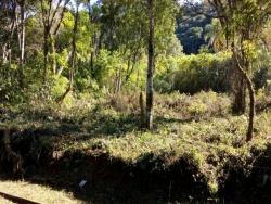 #277 - Área para Venda em Morro Reuter - RS - 1